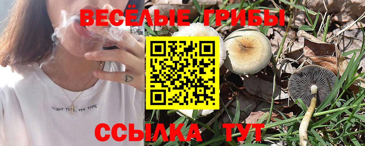 где продают   Вход с VPN  Семилуки  Галлюциногенные грибы прущие грибы  Псилоцибиновые грибы мухоморы 