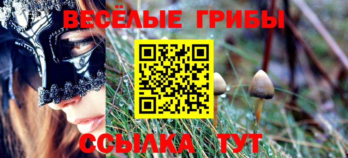 Галлюциногенные грибы Psilocybe Семилуки